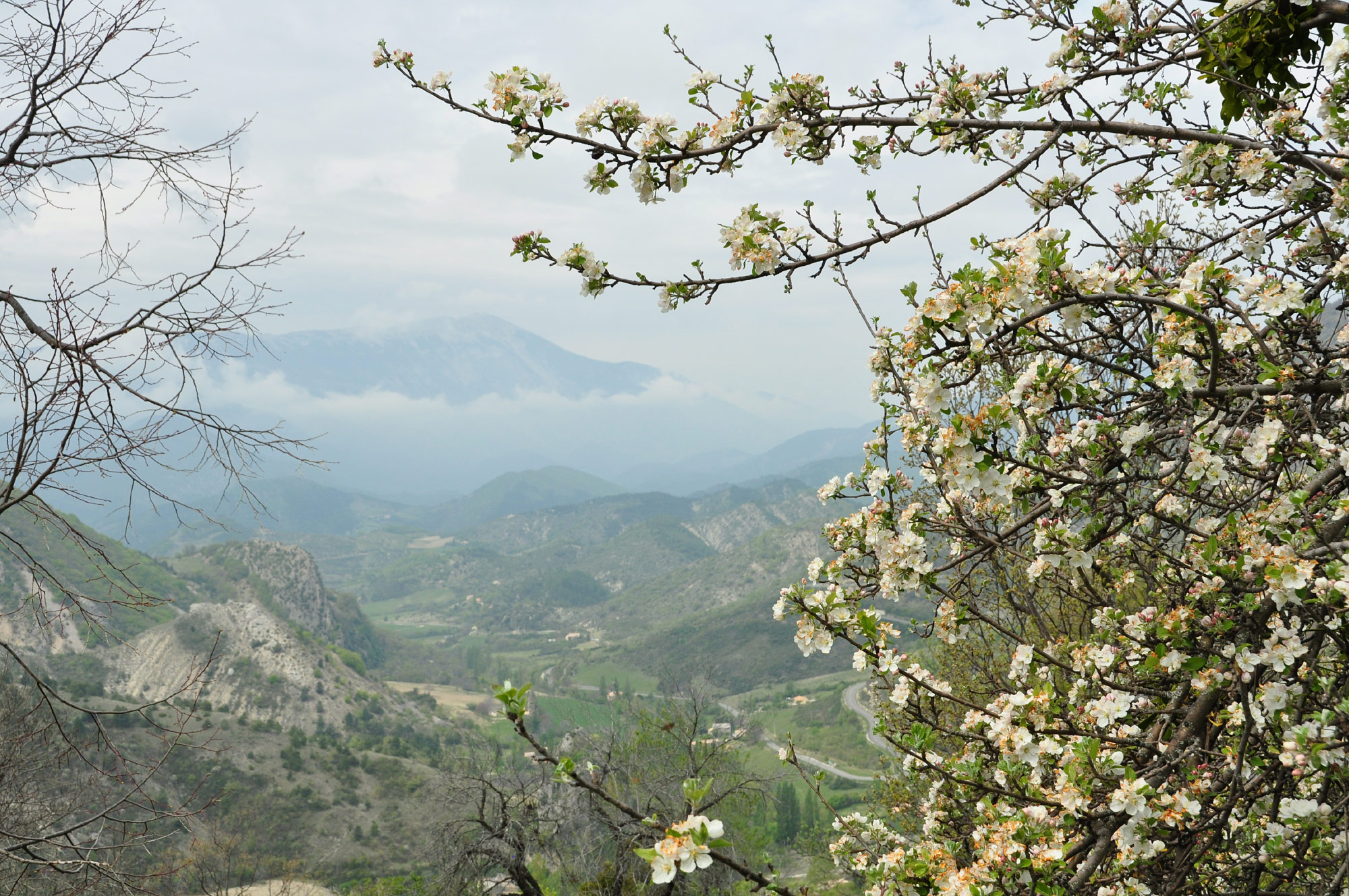 Montbrun-les-Bains